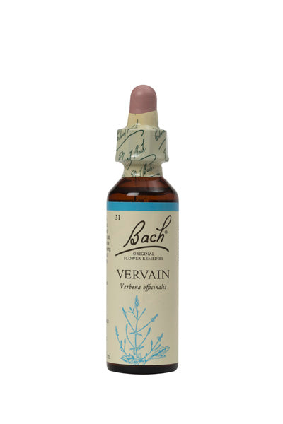 31. Vervain