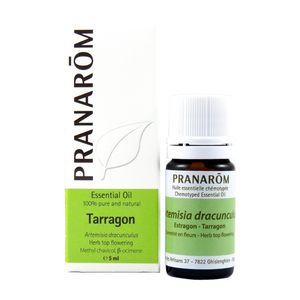 Tarragon